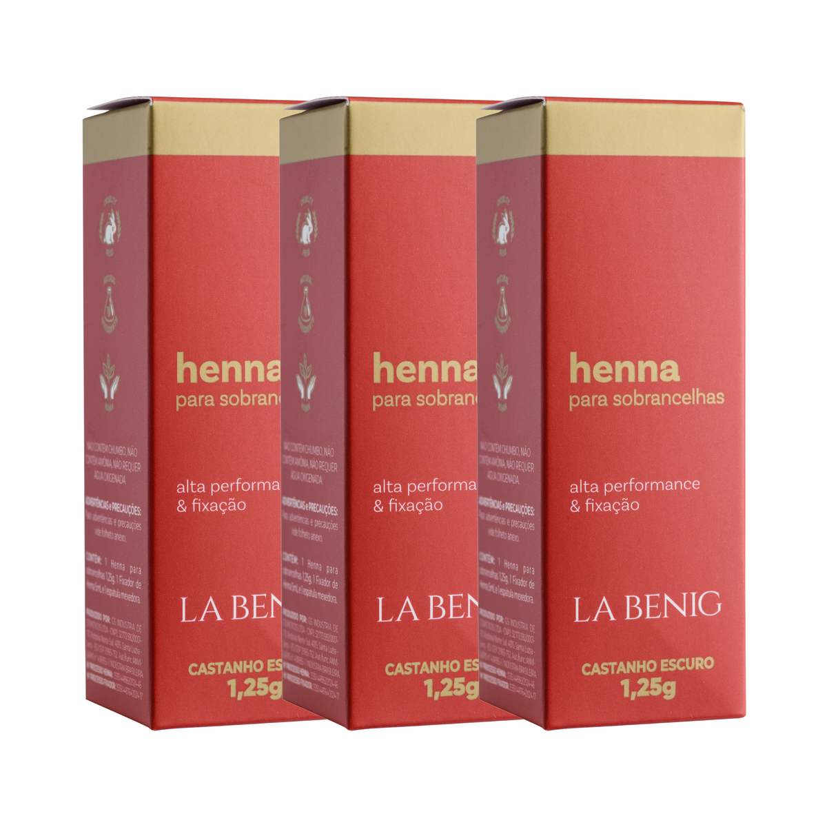 Festa da Henna